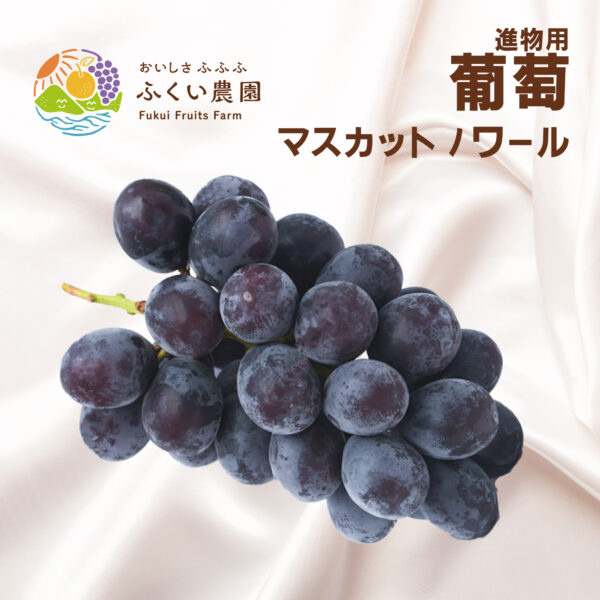マスカットノワール　ふくい農園
