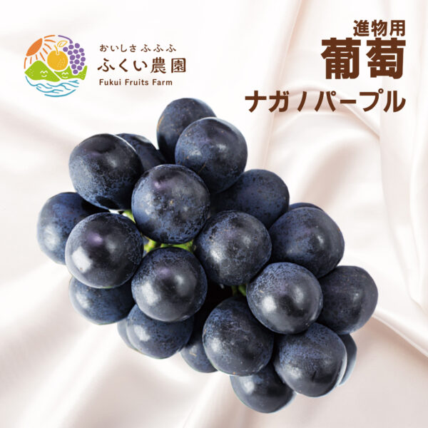ナガノパープル　ふくい農園