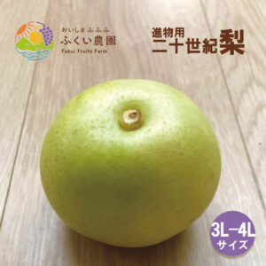 二十世紀梨　3L〜4Lサイズ　ふくい農園