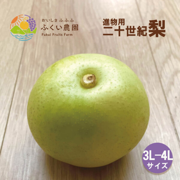 二十世紀梨　3L〜4Lサイズ　ふくい農園