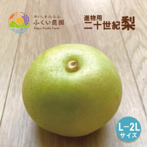 二十世紀梨　L〜2Lサイズ　ふくい農園