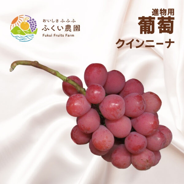 クインニーナ　ふくい農園